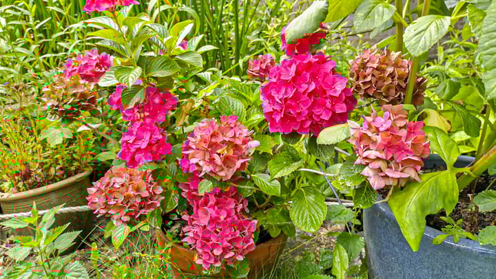 Photo 56 of Marnixplein 18