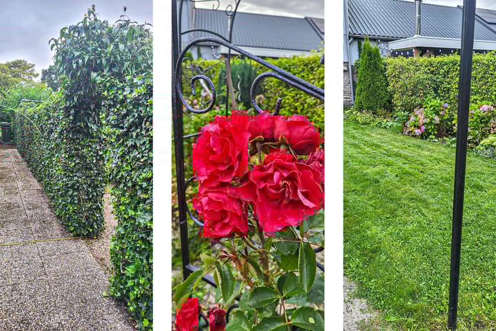 Photo 50 of Marnixplein 18