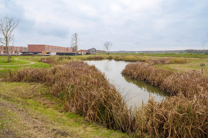 Foto 39 van Anna J. Cooperstraat 81