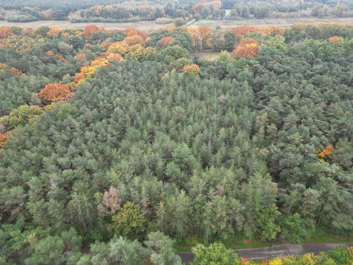 Photo 5 of Derde Heistraat