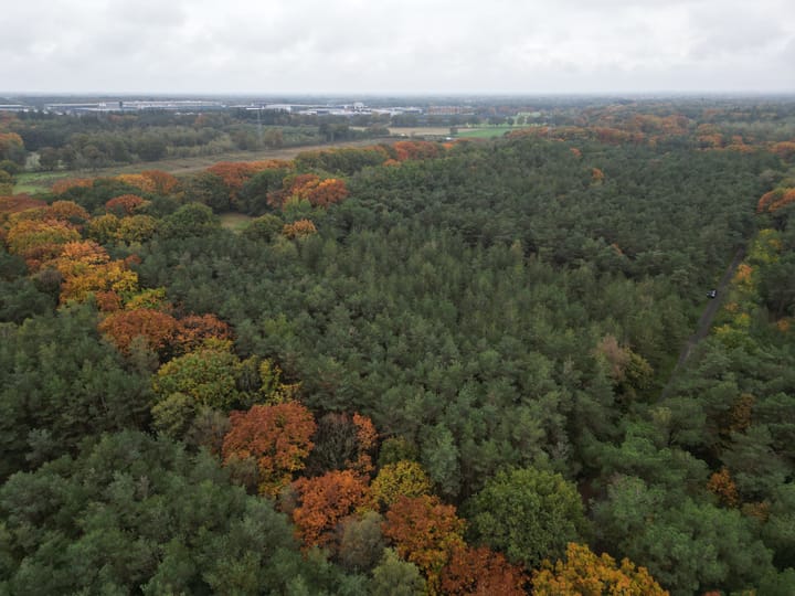 Photo 6 of Derde Heistraat