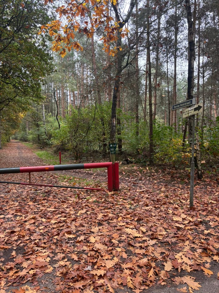 Photo 8 of Derde Heistraat