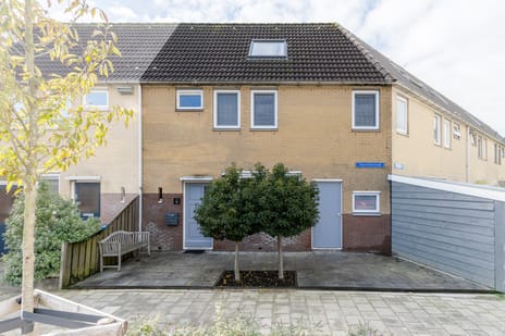 undefined main image