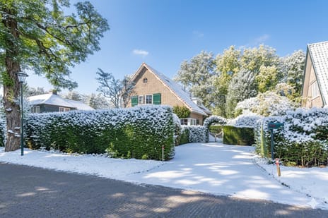 undefined main image