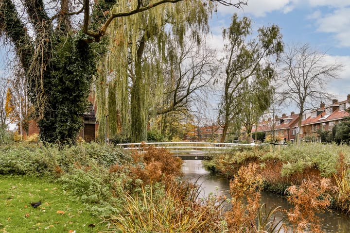 Photo 28 of Nassaulaan 58