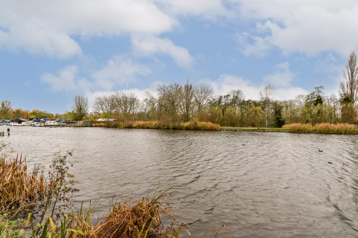 Photo 29 of Nassaulaan 58