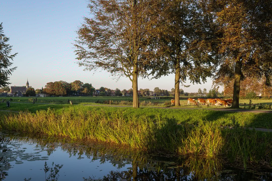 Foto 28 van Overste den Oudenlaan 13