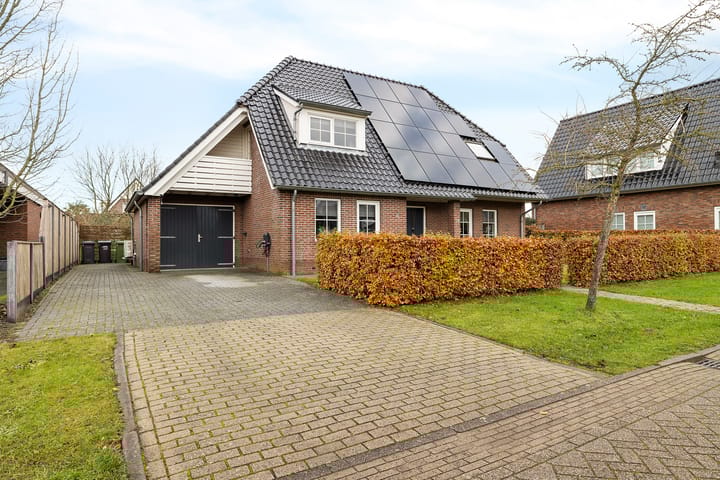 Vlegel 12 main image