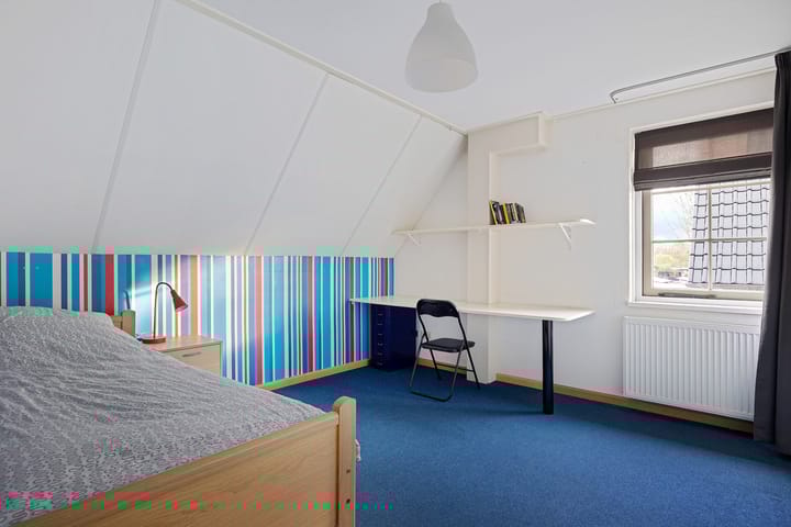 Photo 31 of Vlegel 12