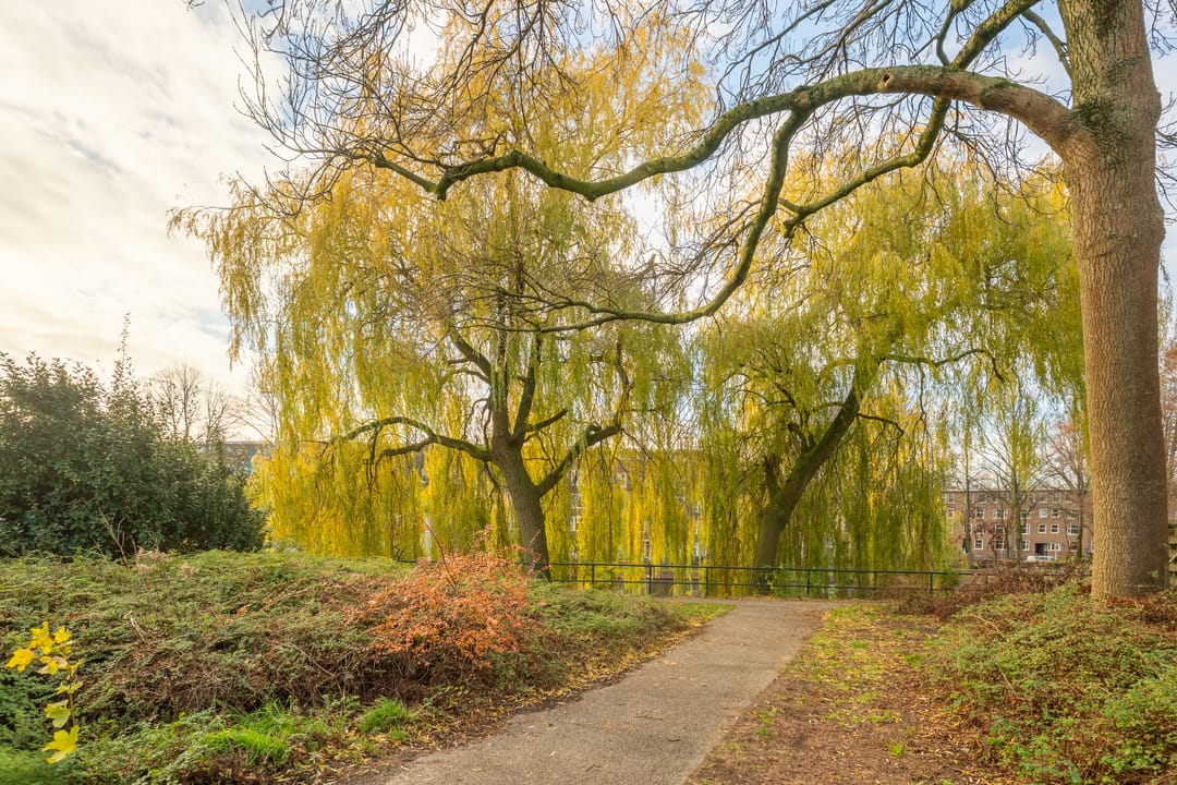 Foto 22 van Marcantilaan 369