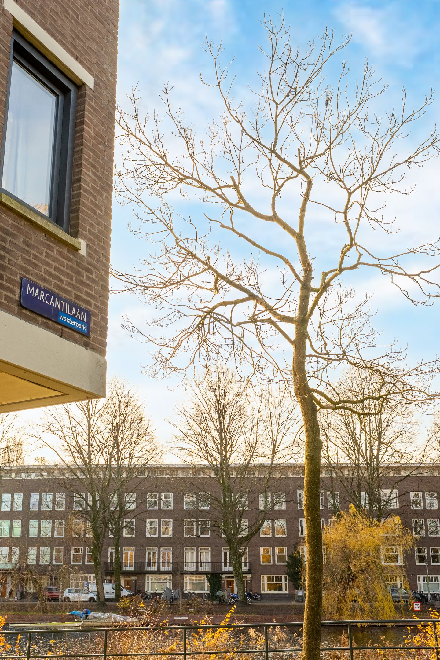 Foto 25 van Marcantilaan 369