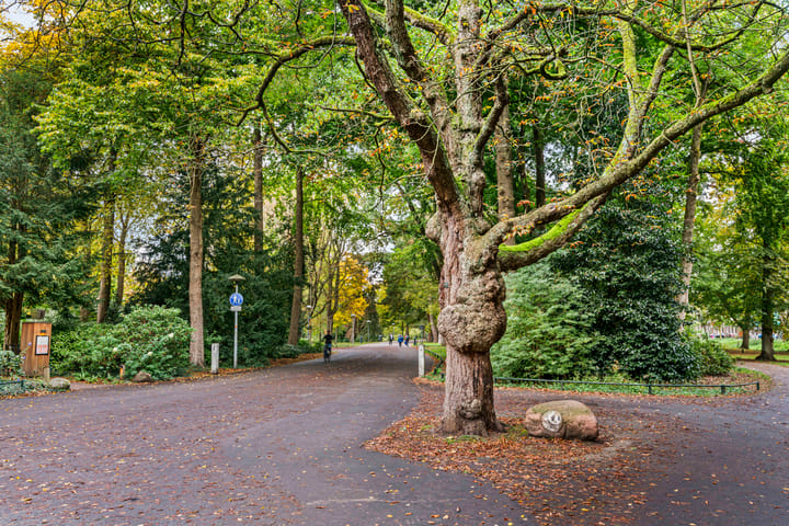 Foto 36 van Rembrandtkade 20