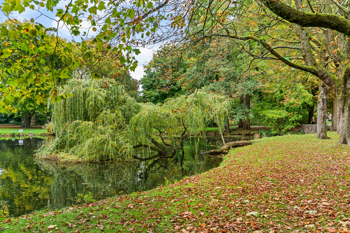 Foto 42 van Rembrandtkade 20