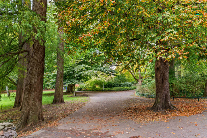 Foto 43 van Rembrandtkade 20