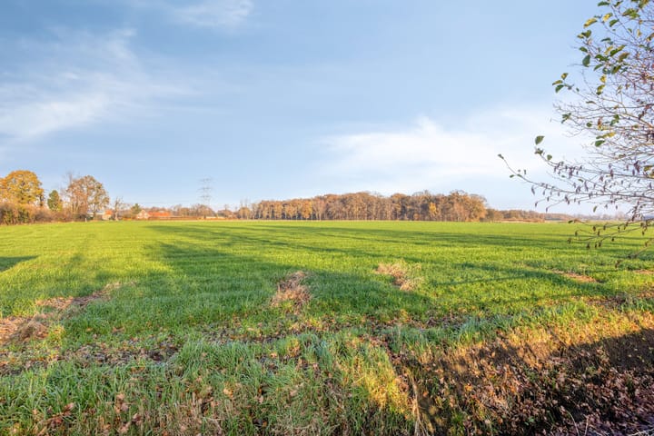 Foto 3 van Meierijsebaan 4