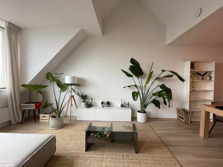 Foto 4 van Larenstein 61