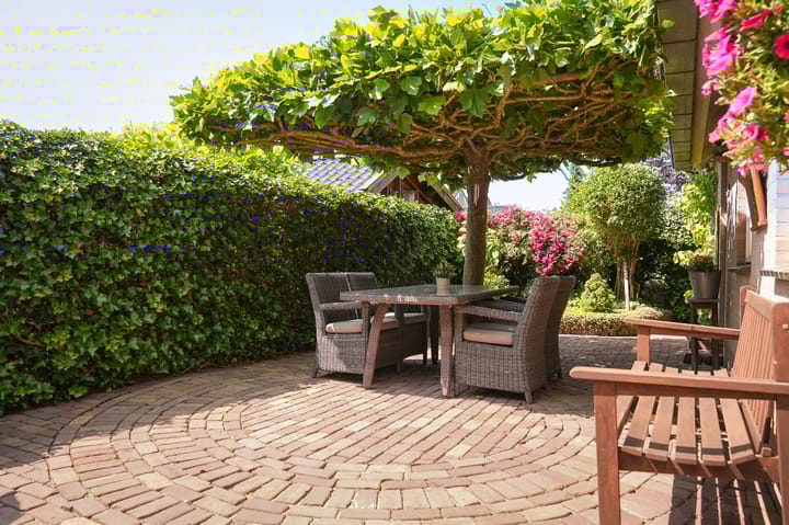 Photo 6 of Beatrixstraat 50