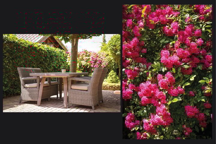 Photo 7 of Beatrixstraat 50