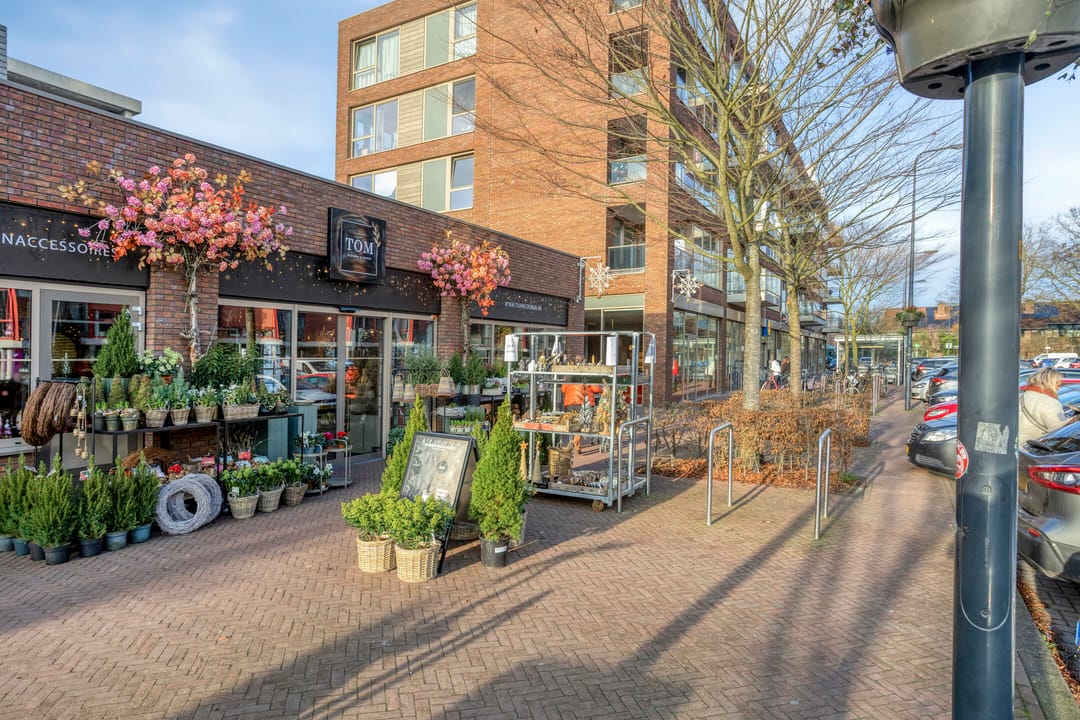 Foto 22 van Montbretiastraat 71