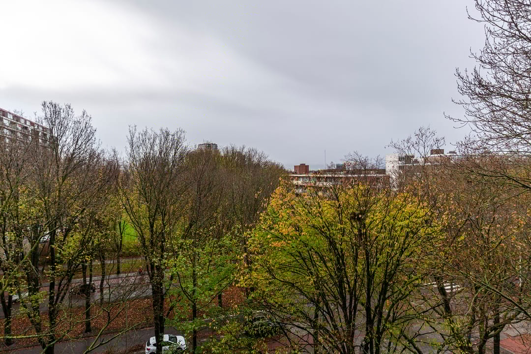 Foto 28 van Nieuwendamlaan 164