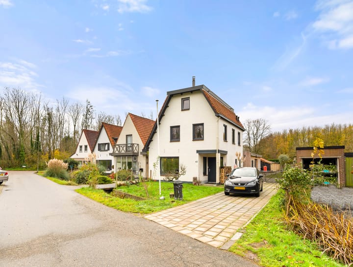 Foto 1 van Amsterdamseweg 45