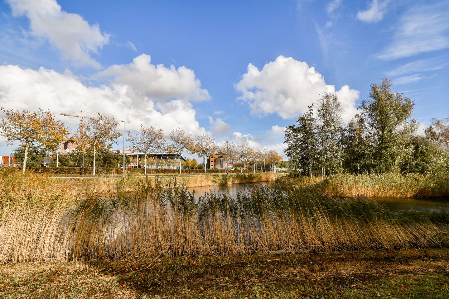 Foto 19 van De Fruittuinen 17