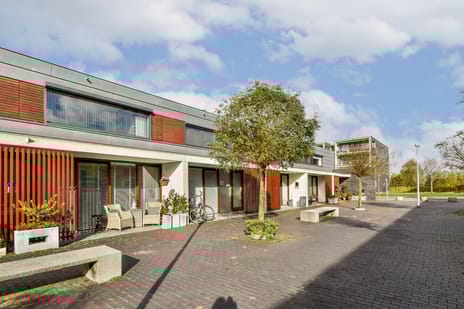 De Fruittuinen thumbnail