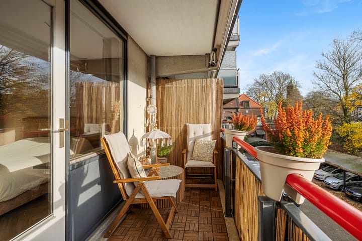 Foto 3 van Cornelis de Wittstraat 36-D