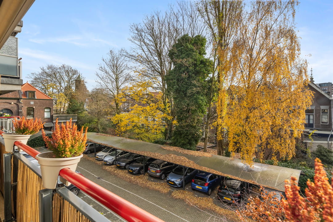 Foto 32 van Cornelis de Wittstraat 36-D