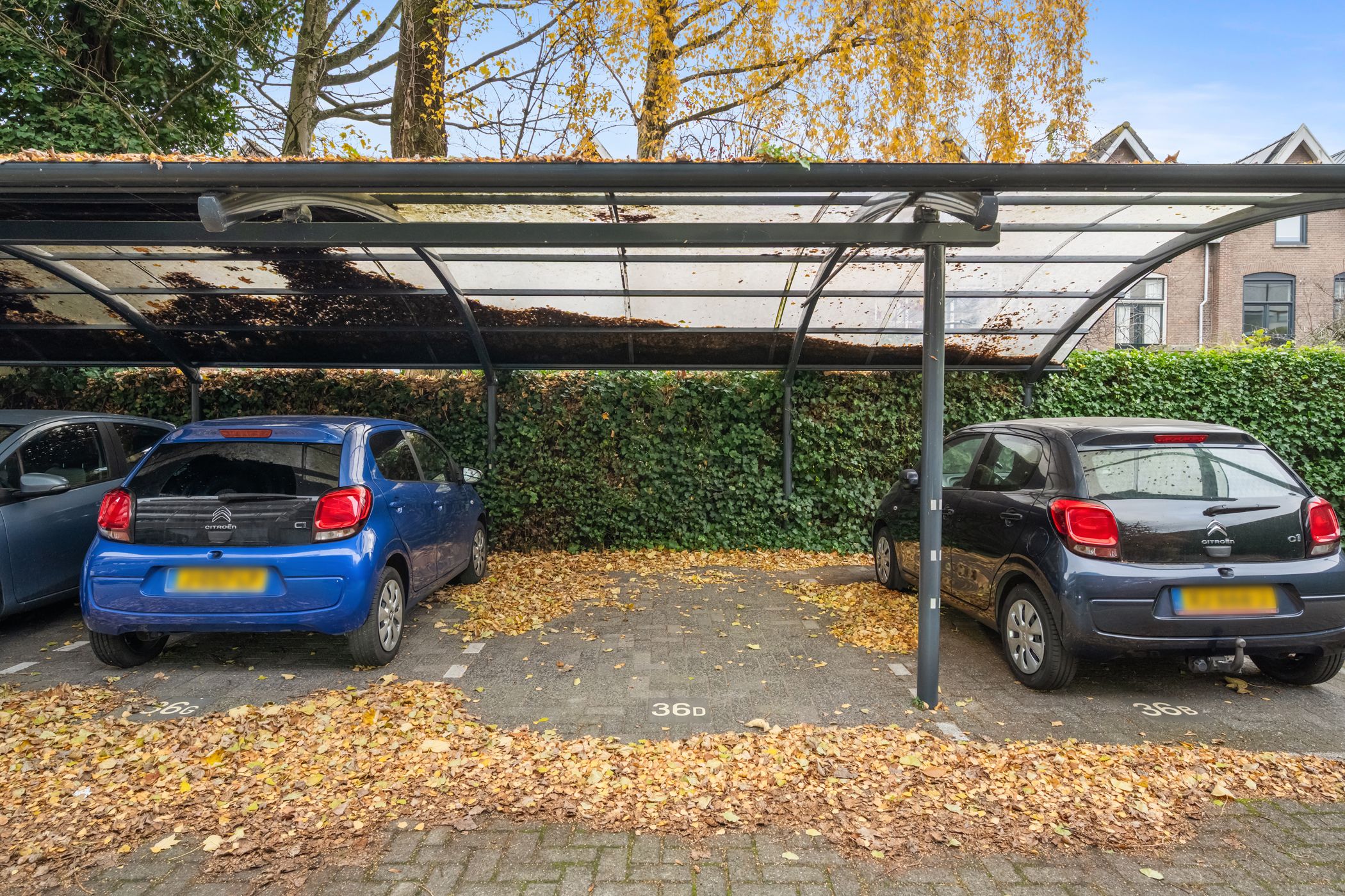 Foto 33 van Cornelis de Wittstraat 36-D