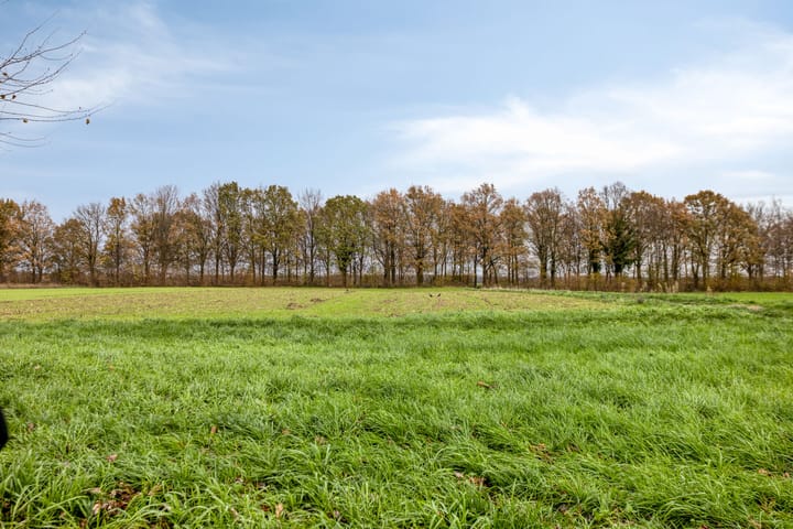 Foto 50 van Voermanlaan 7