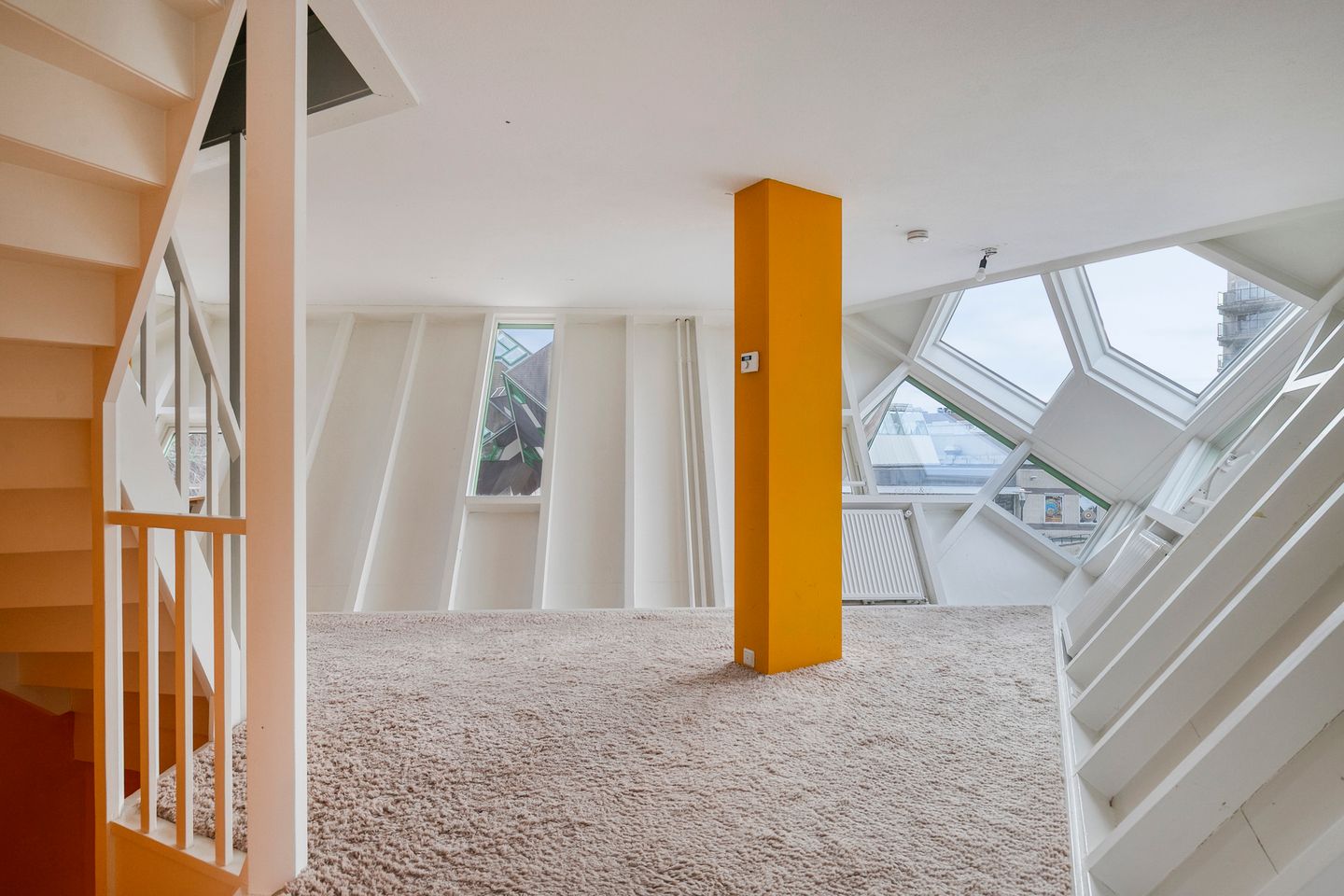 Photo 5 of Piet Blomplein 1