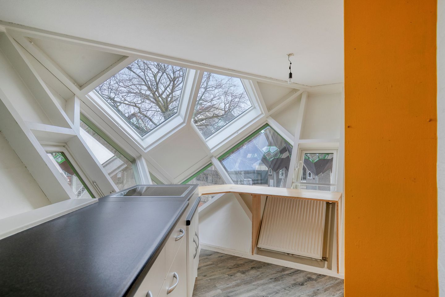 Photo 14 of Piet Blomplein 1