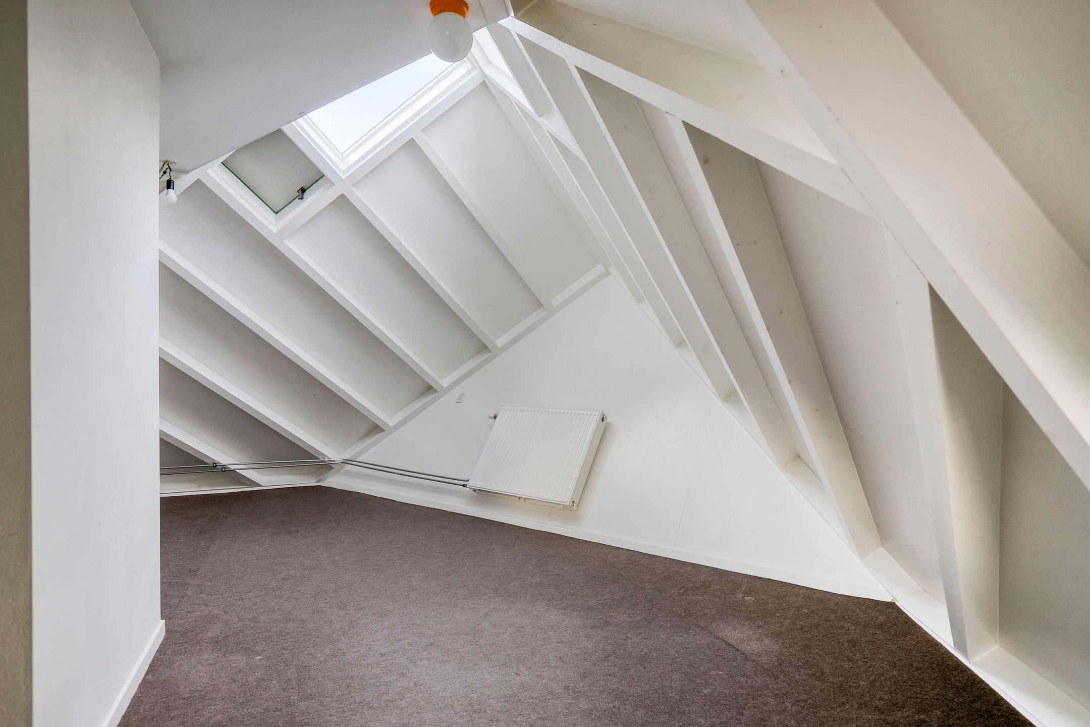 Photo 21 of Piet Blomplein 1