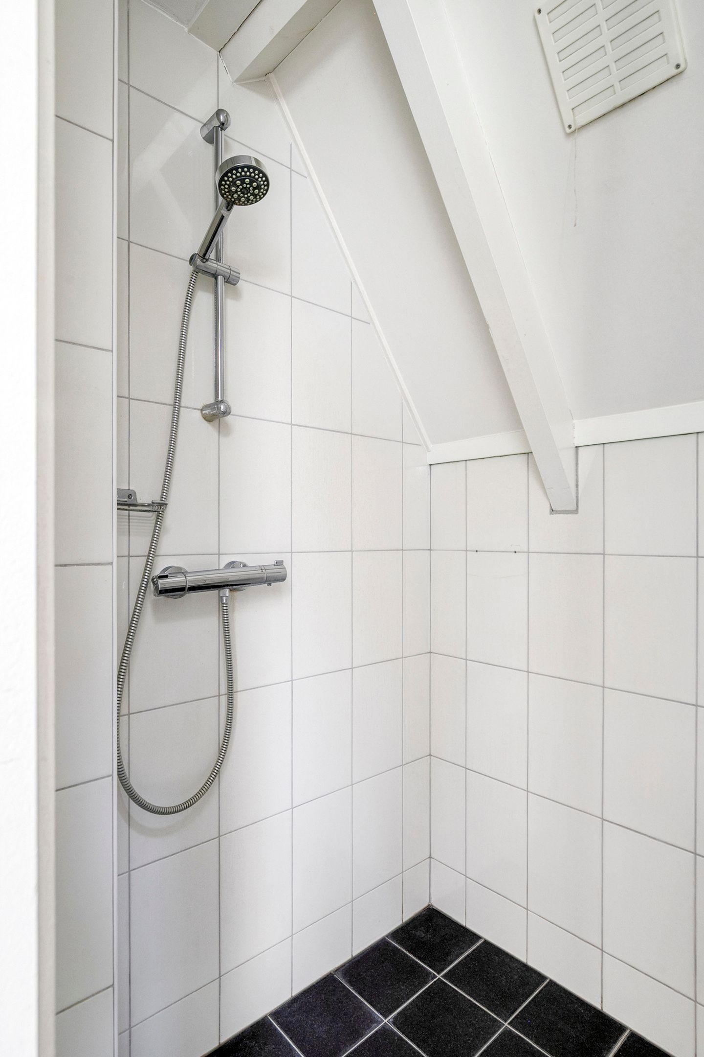 Photo 25 of Piet Blomplein 1