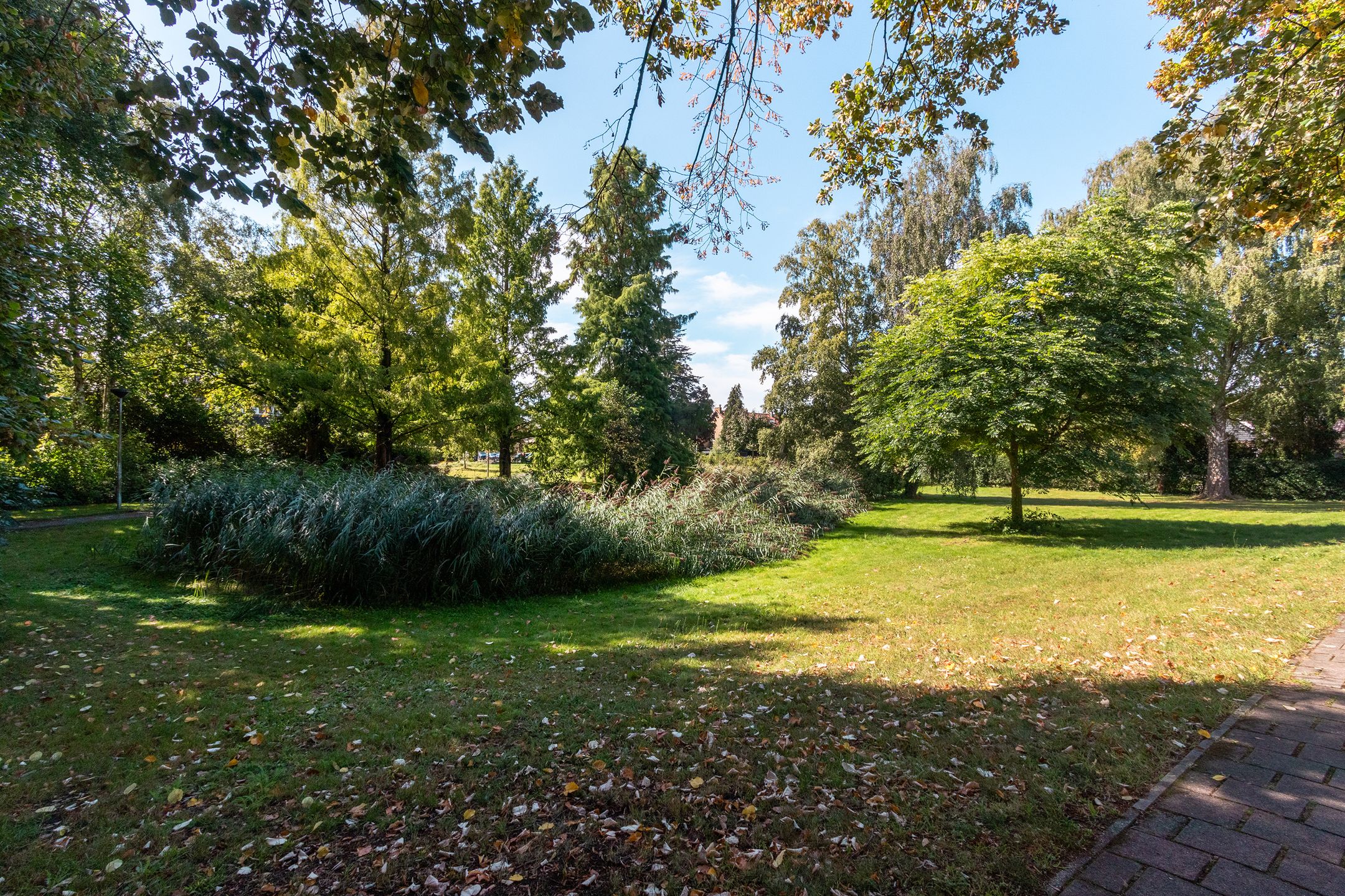 Foto 30 van Thierensweg 7