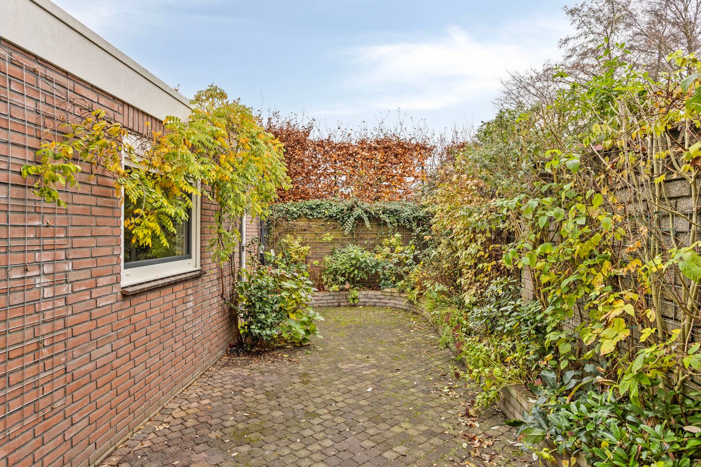 Foto 29 van Dahliastraat 164