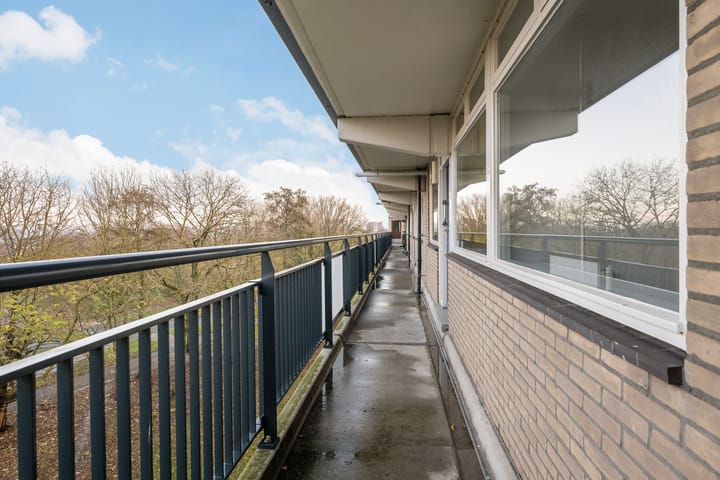 Foto 3 van Buizerdstraat 204