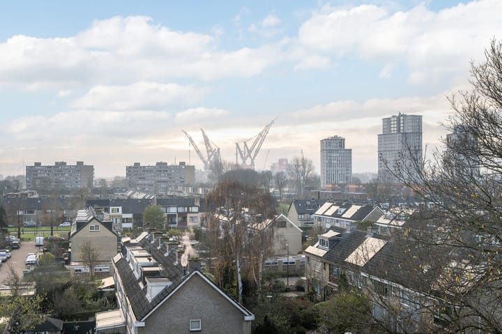 Photo 10 of Buizerdstraat 204