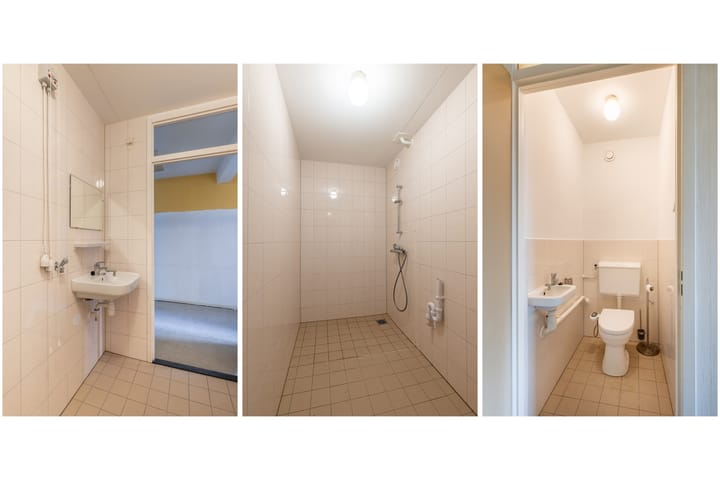 Photo 25 of Buizerdstraat 204