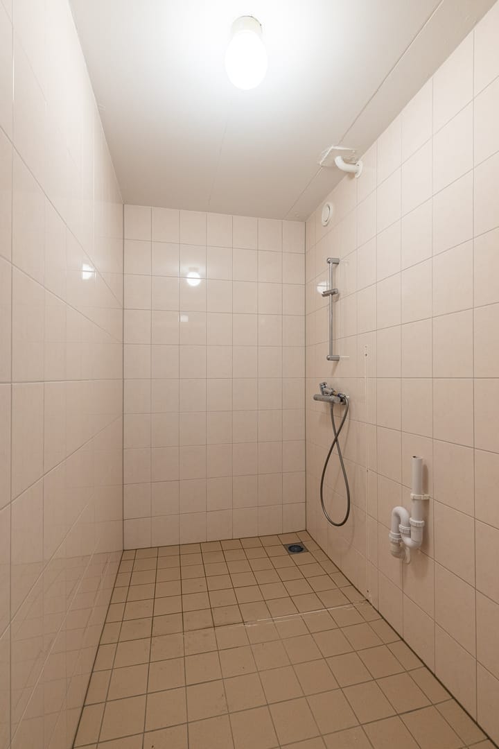 Photo 27 of Buizerdstraat 204