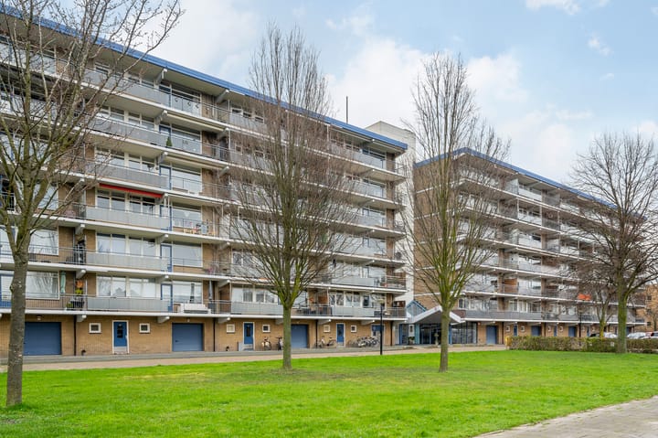 Photo 29 of Buizerdstraat 204