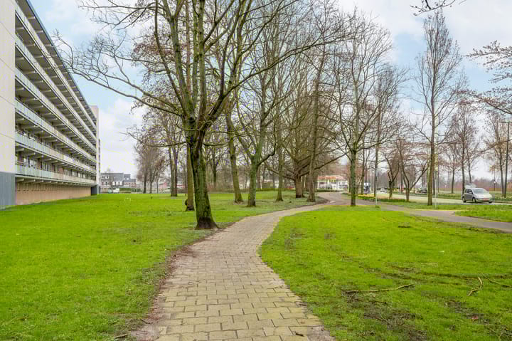 Photo 31 of Buizerdstraat 204