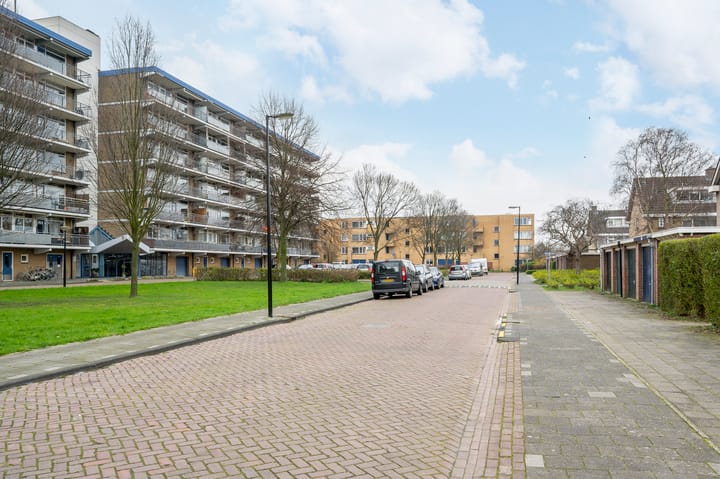 Photo 32 of Buizerdstraat 204