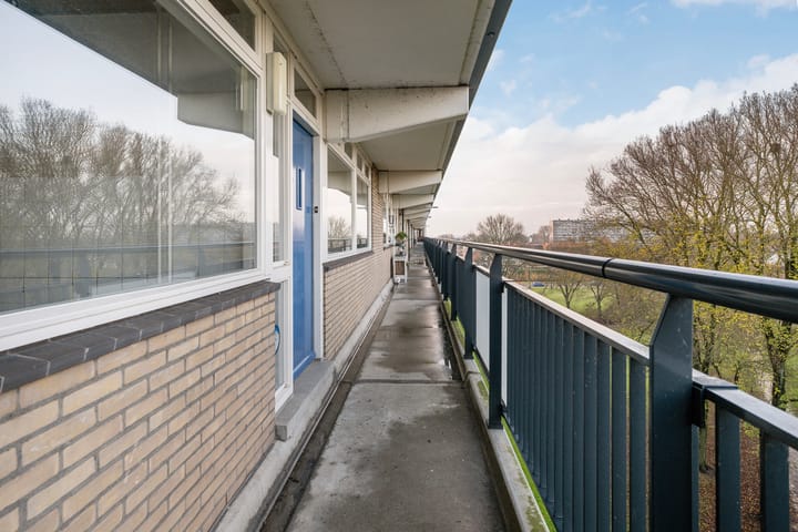 Photo 28 of Buizerdstraat 204