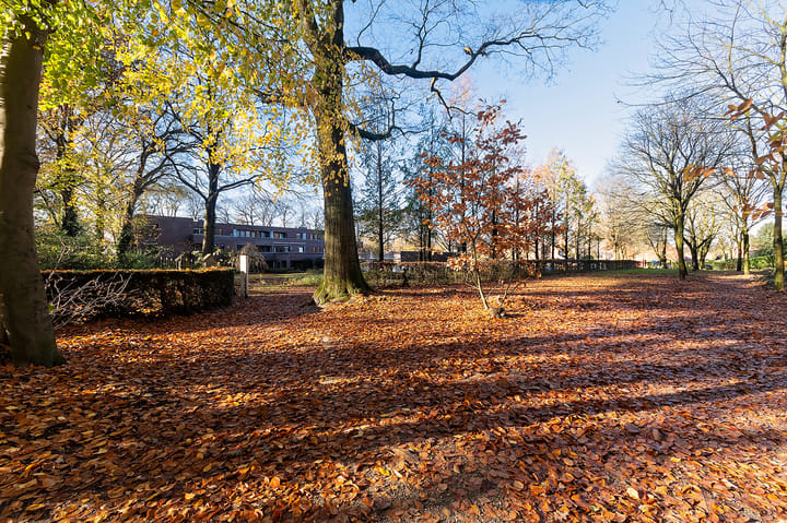 Photo 27 of Kloostertuin 53