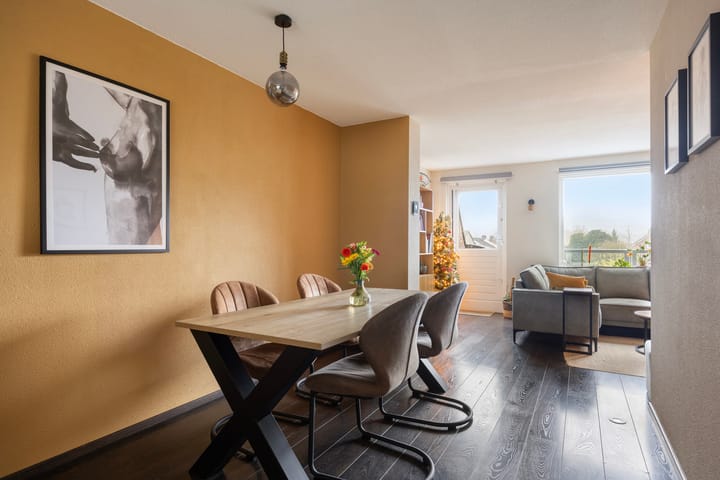 Photo 4 of Peellaan 163