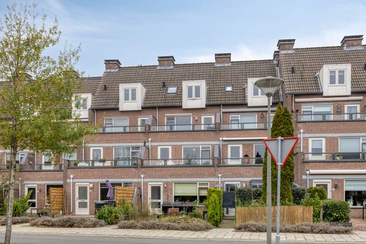 Photo 10 of Peellaan 163