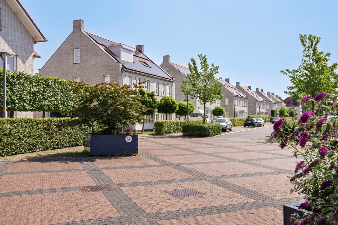 Foto 43 van Lover 164