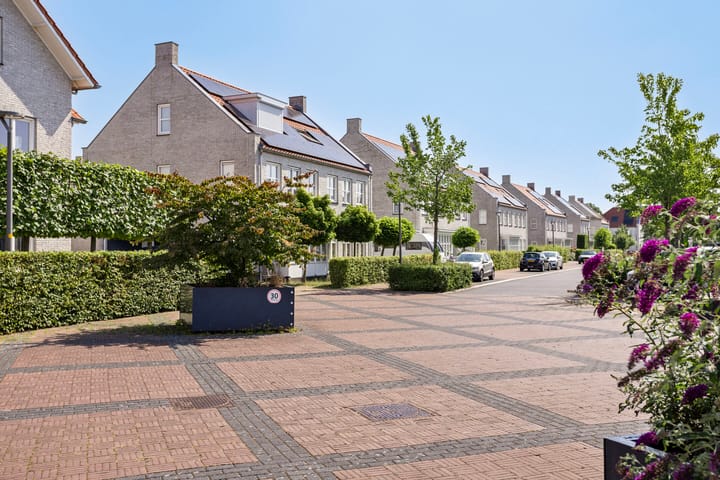 Photo 43 of Lover 164